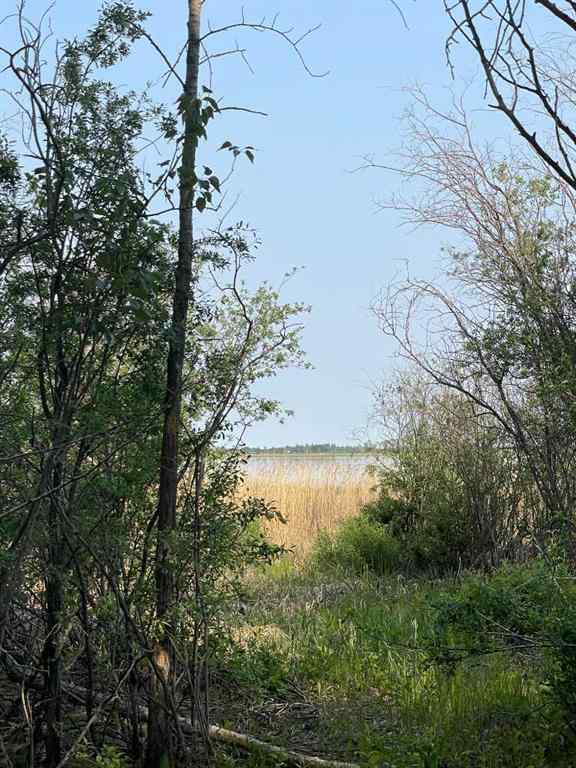 MLS® A2228828 - Lot 9 Block 3 Summerhaven   in Summerhaven Rural Wetaskiwin No. 10, County of, Land