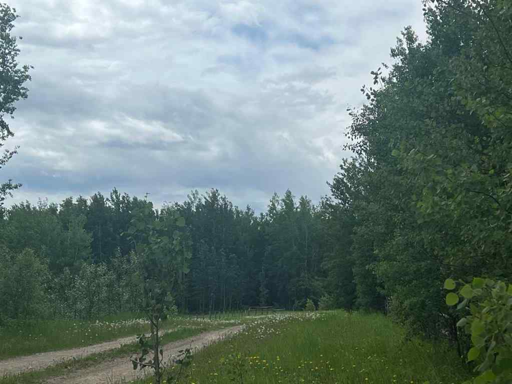 MLS® A2228843 - 14305 Township Road 554   in NONE Rural Yellowhead County, Residential
