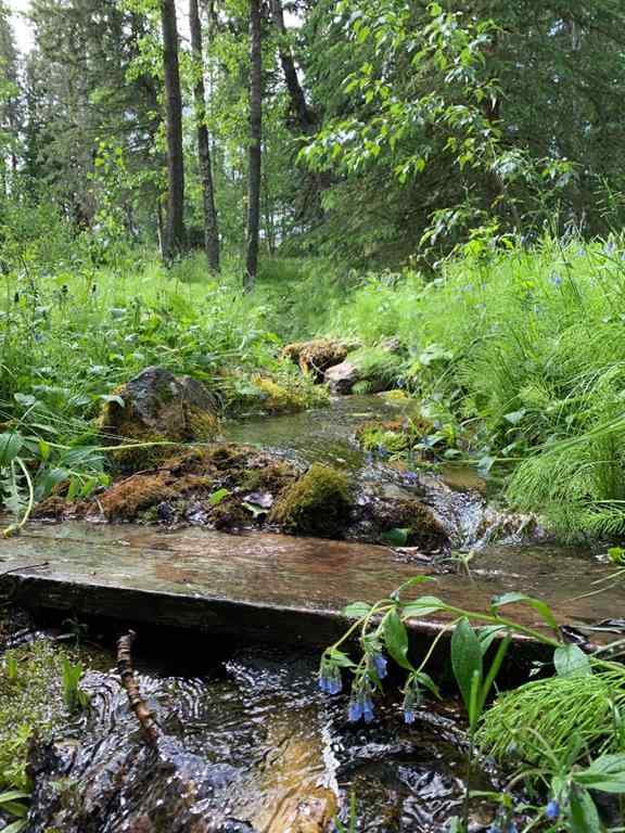 MLS® A2228888 - 373028 Range Road 7-1   in NONE Rural Clearwater County, Agri-Business