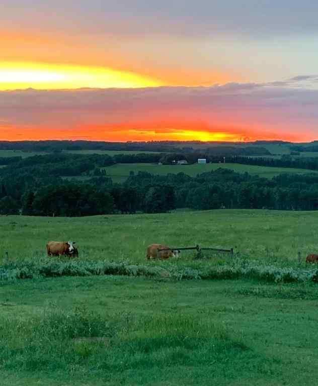 MLS® A2228894 - 4142 Township Road 290   in NONE Rural Mountain View County, Residential
