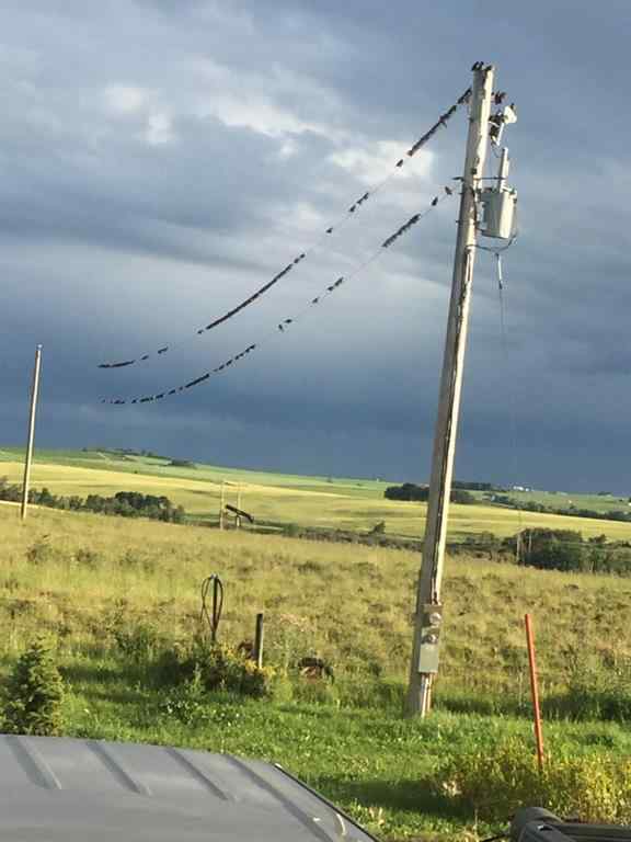MLS® A2228894 - 4142 Township Road 290   in NONE Rural Mountain View County, Residential