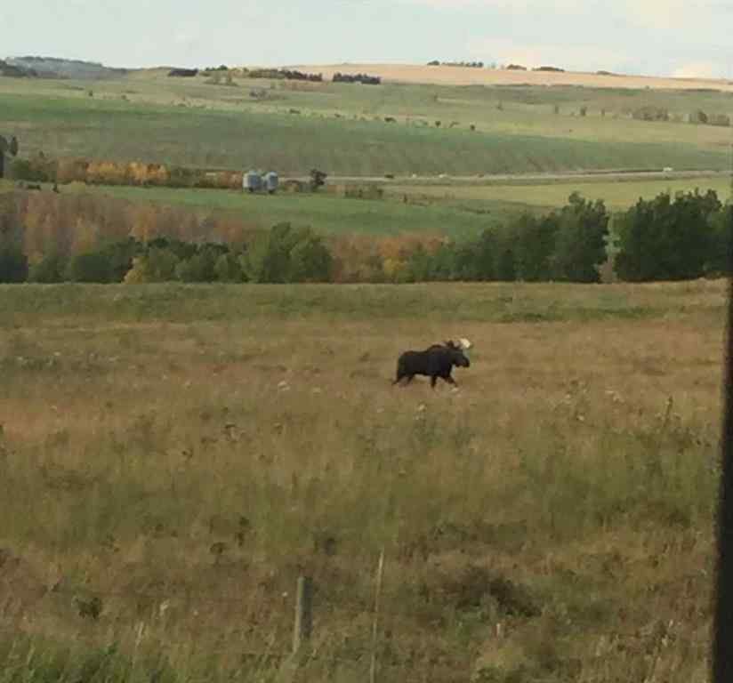MLS® A2228894 - 4142 Township Road 290   in NONE Rural Mountain View County, Residential