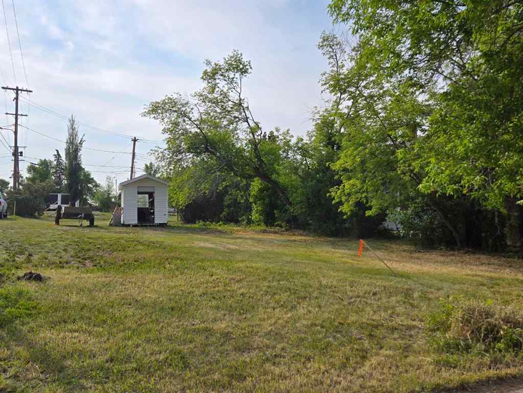 MLS® A2229117 - 408 Arena Avenue   in NONE Trochu, Land