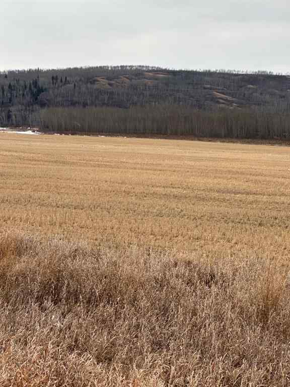 MLS® A2229178 - 3-1-2121458 242A Range  in NONE Rural Birch Hills County, Land