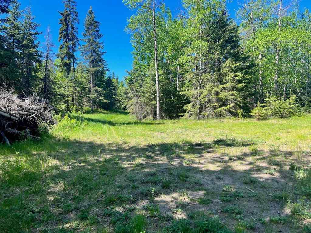MLS® A2229287 - Unit #12 421022 Range Road 260   in Jada Development Rural Ponoka County, Land