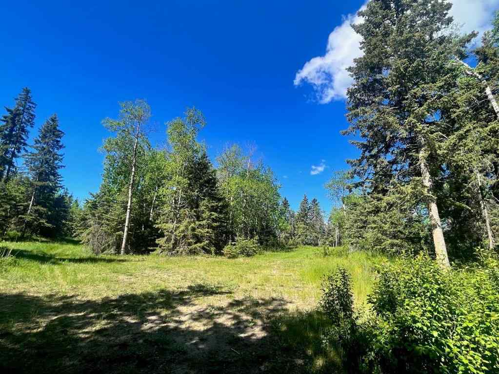 MLS® A2229287 - Unit #12 421022 Range Road 260   in Jada Development Rural Ponoka County, Land