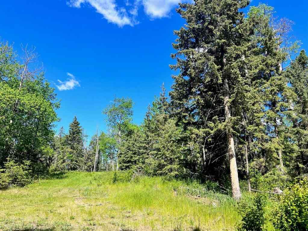 MLS® A2229302 - Unit #13 421022 Range Road 260   in Jada Development Rural Ponoka County, Land