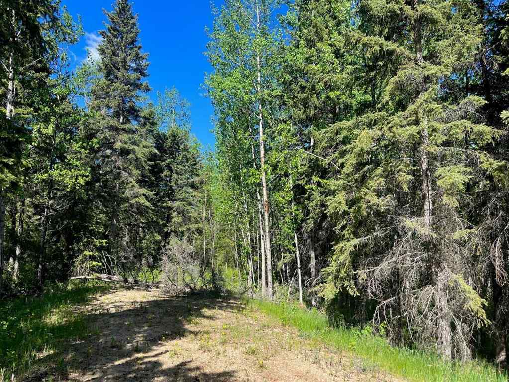 MLS® A2229302 - Unit #13 421022 Range Road 260   in Jada Development Rural Ponoka County, Land