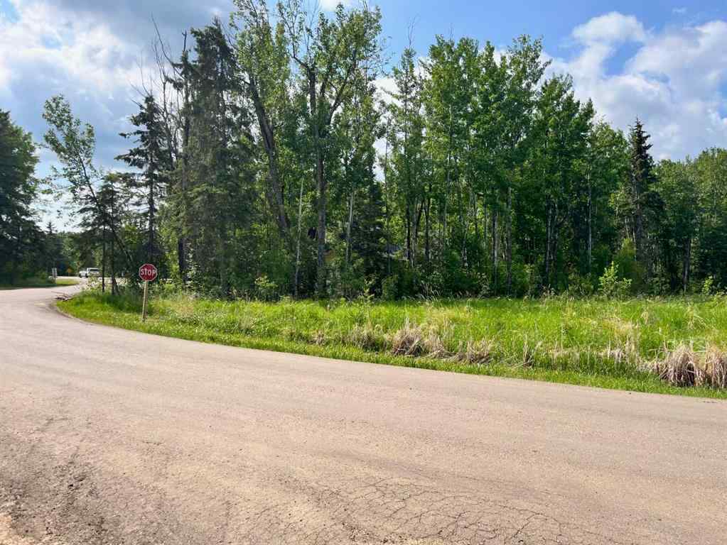 MLS® A2229335 - Unit #205 15538 Old Trail   in NONE Lac La Biche, Land