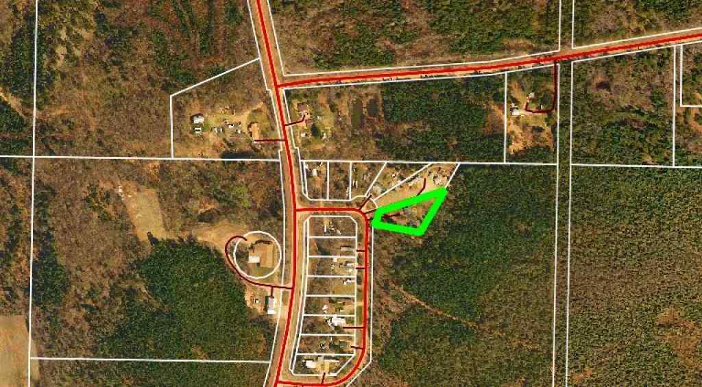MLS® A2229377 - 29 653043 RGE RD 173   in Caslan Caslan, Residential