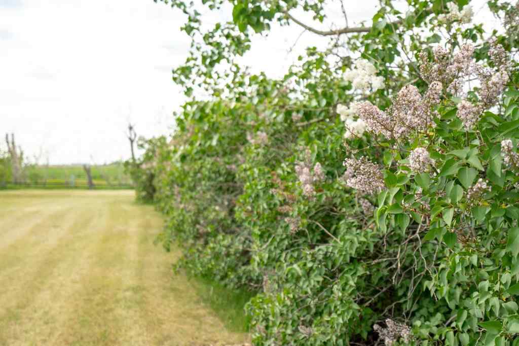 MLS® A2229521 - 271194 Township Road 252   in NONE Dalroy, Residential