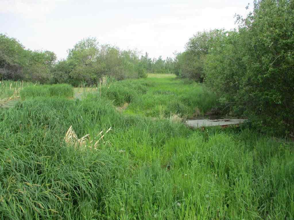 MLS® A2229796 - 920072 Rge Rd 232   in NONE Rural Northern Lights, County of, Agri-Business