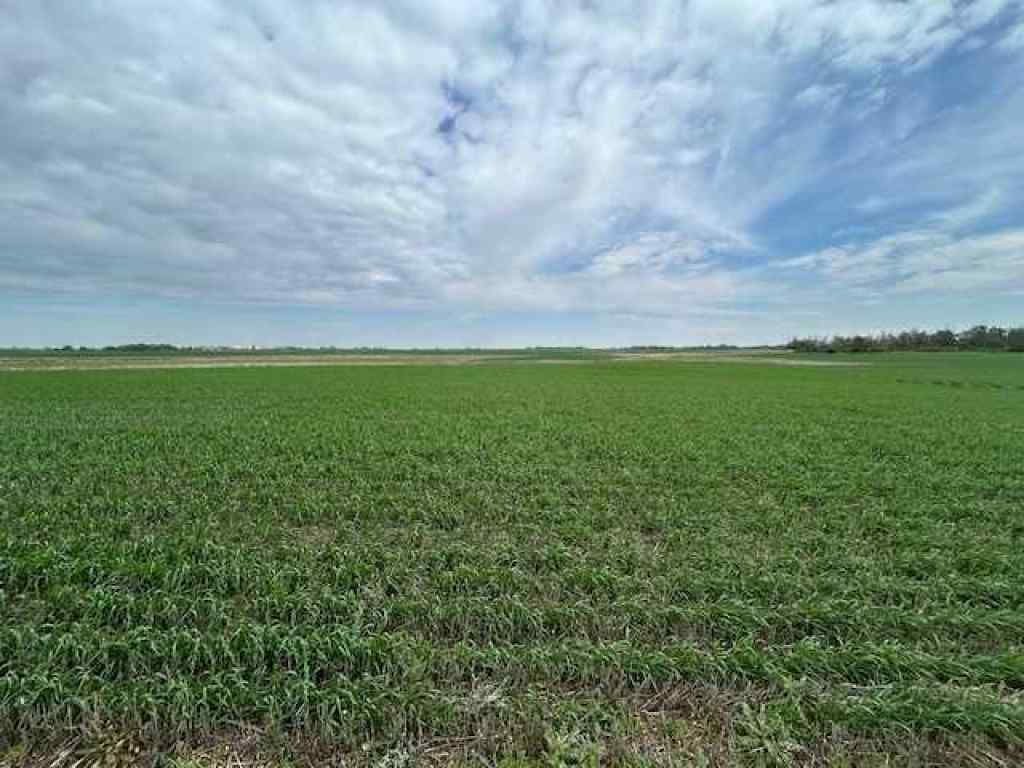 MLS® A2229920 -  TWP Rd 410   in NONE Rural Stettler No. 6, County of, Agri-Business