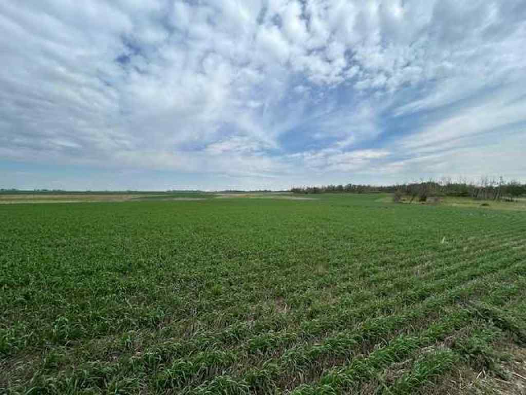 MLS® A2229920 -  TWP Rd 410   in NONE Rural Stettler No. 6, County of, Agri-Business