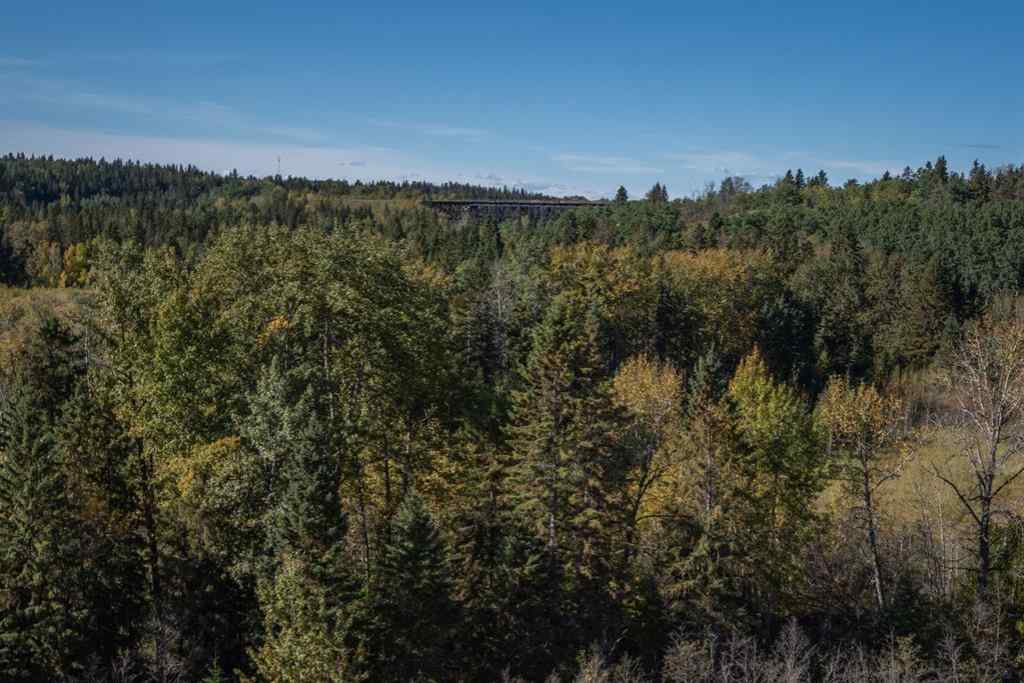 MLS® A2229964 - Unit #148 27111 597 Highway  in Burbank Heights Rural Lacombe County, Land