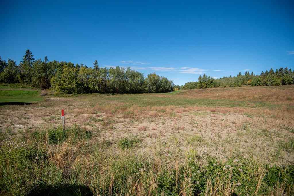 MLS® A2229966 - Unit #152 27111 597 Highway  in Burbank Heights Rural Lacombe County, Land