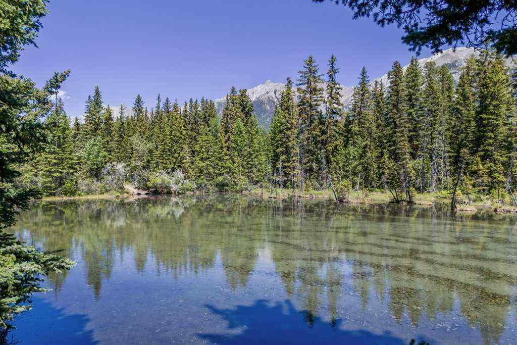 MLS® A2229973 - 4 Mount Rundle Place  in Town Centre_Canmore Canmore, Residential