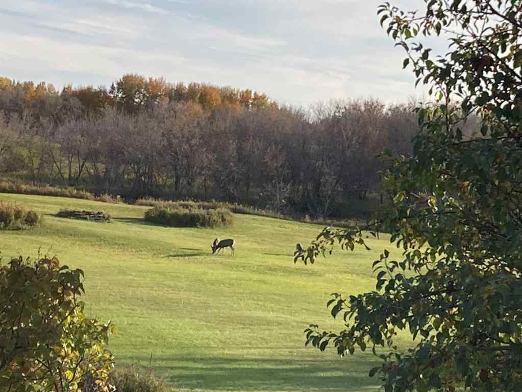 MLS® A2229990 - 5207 49 Street  in Riverside Ponoka, Residential