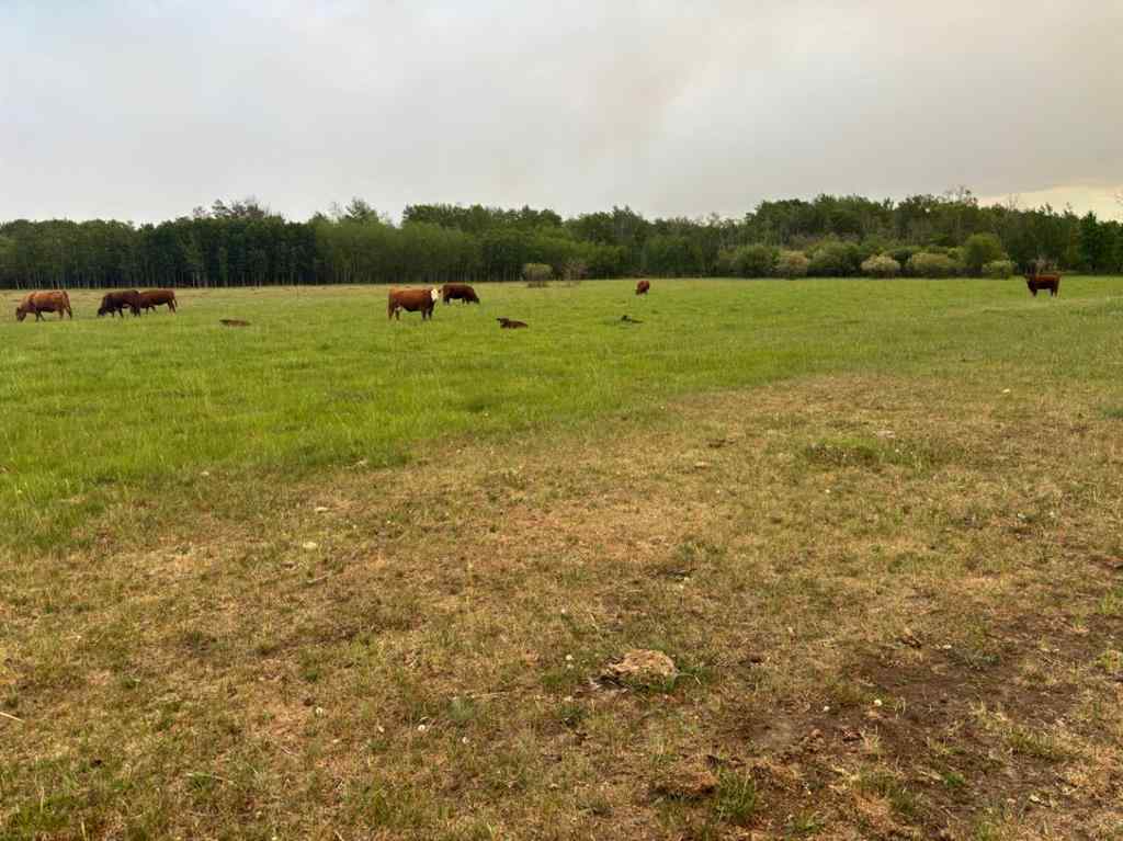 MLS® A2229995 - 712045 Range Road 90   in NONE Rural Grande Prairie No. 1, County of, Agri-Business