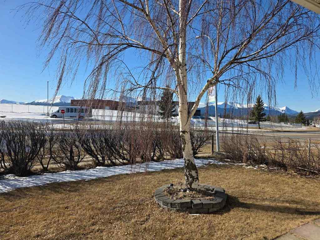 MLS® A2230115 - 10438 Shand Avenue  in NONE Grande Cache, Residential