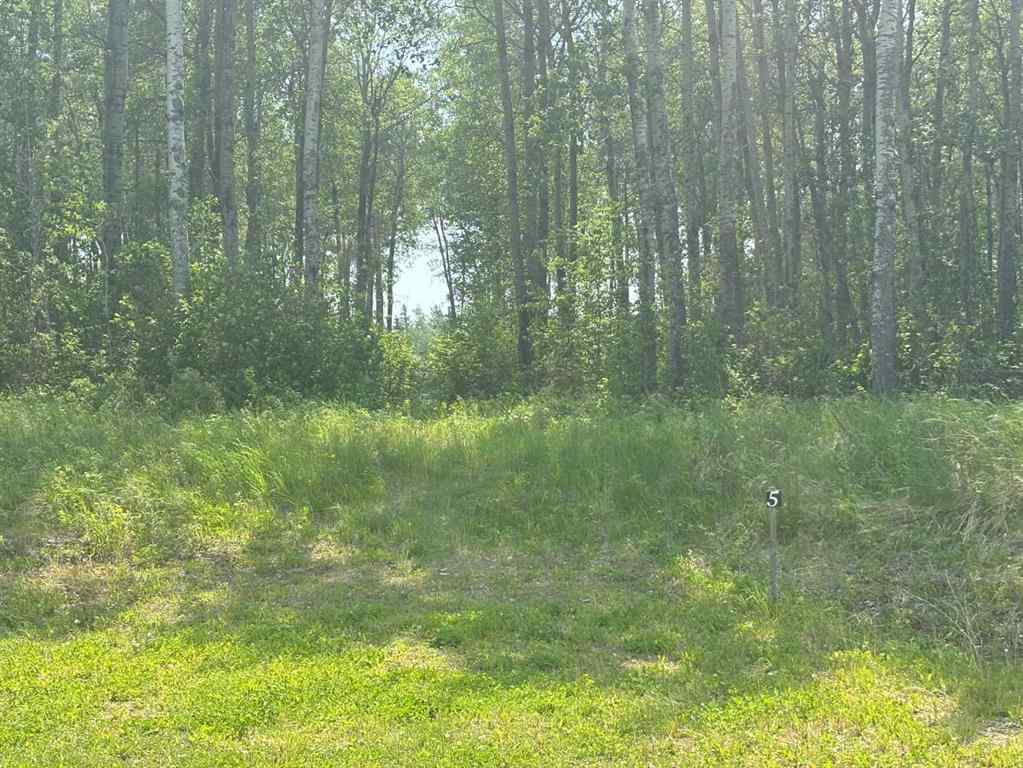 MLS® A2230146 - Unit ##5 660023 Range Road 224   in NONE Rural Athabasca County, Land