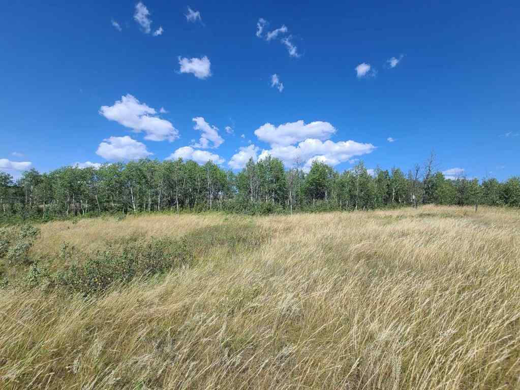MLS® A2230267 -  Highway 684   in NONE Rural Peace No. 135, M.D. of, Land