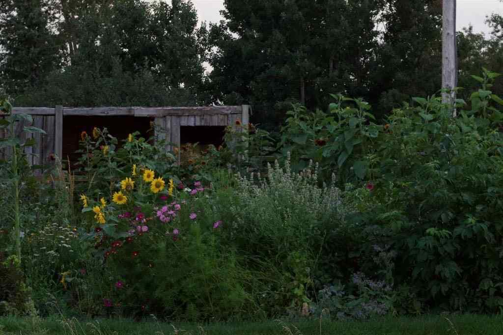MLS® A2230690 - 264169 range road 273   in NONE Kathyrn, Residential
