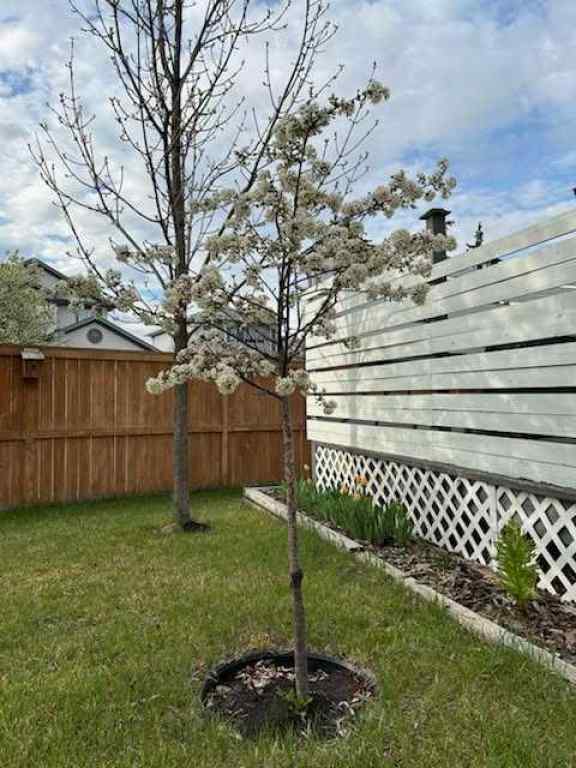 MLS® A2230909 - 196 Harvest Park Way NE in Harvest Hills Calgary, Residential