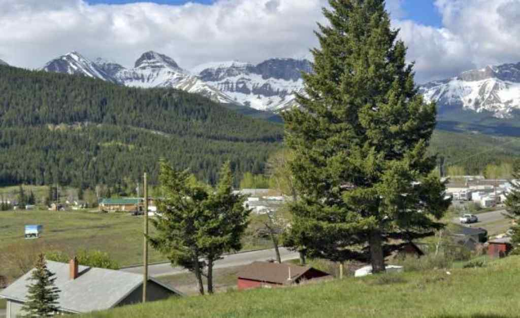 MLS® A2231185 - 6510 22 Avenue  in NONE Coleman, Land