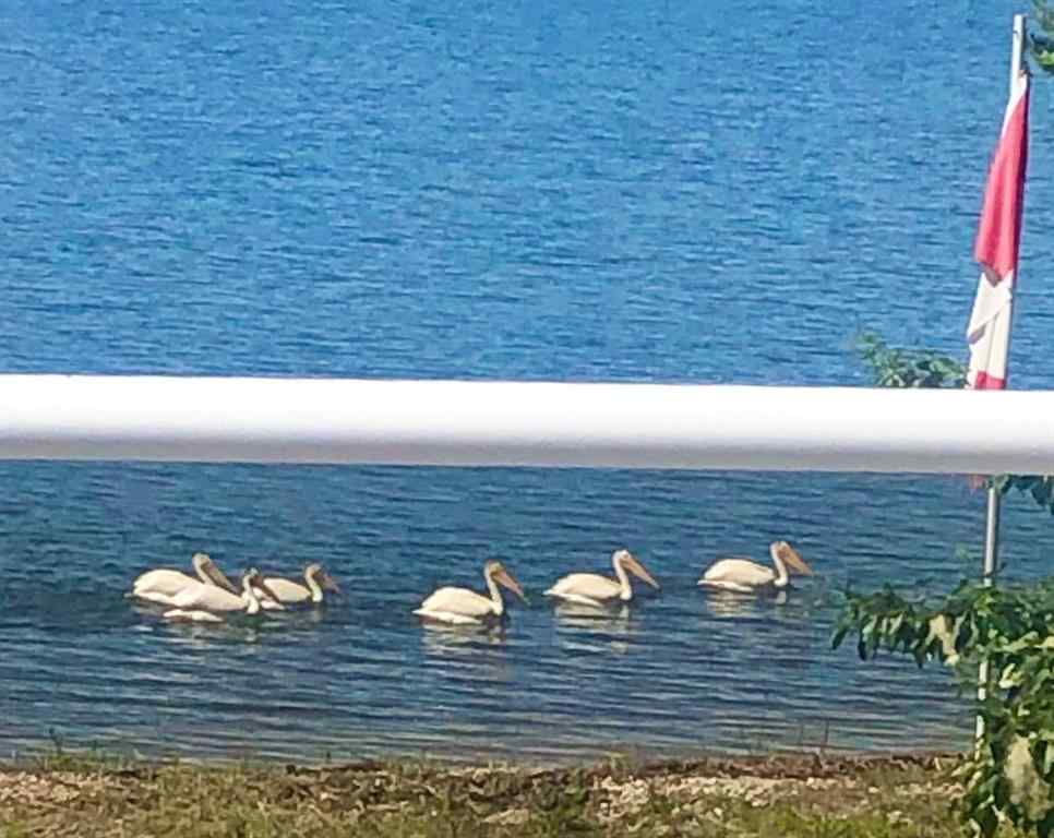 MLS® A2231225 - 142-13352 Lakeland Drive  in Lac La Biche Lac La Biche, Residential