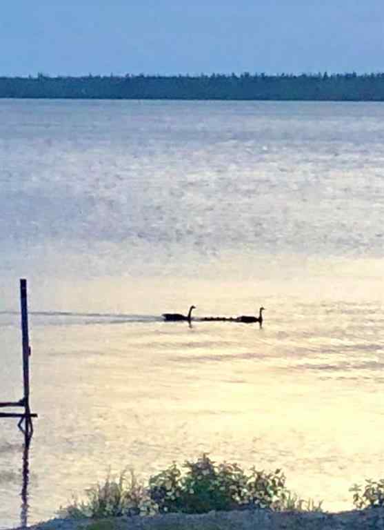 MLS® A2231225 - 142-13352 Lakeland Drive  in Lac La Biche Lac La Biche, Residential