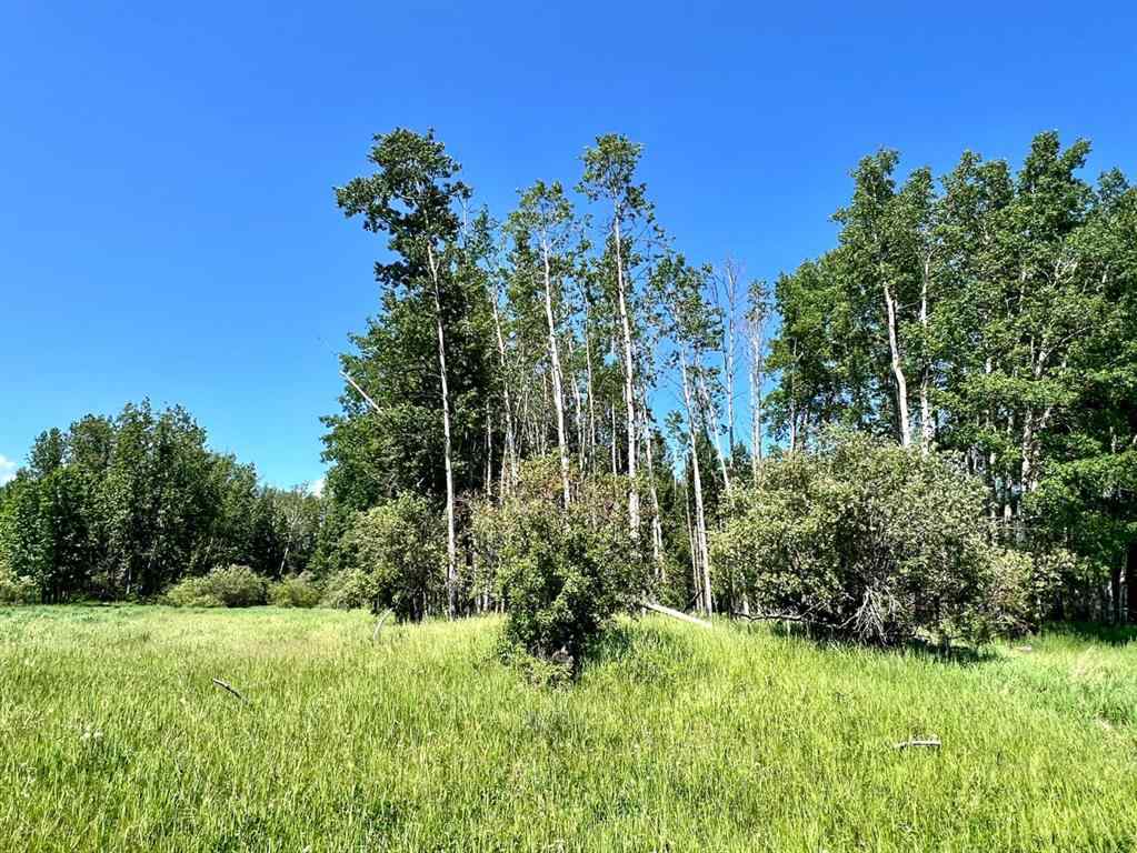 MLS® A2231455 - on Twp Rd 43-0   in NONE Rural Ponoka County, Land