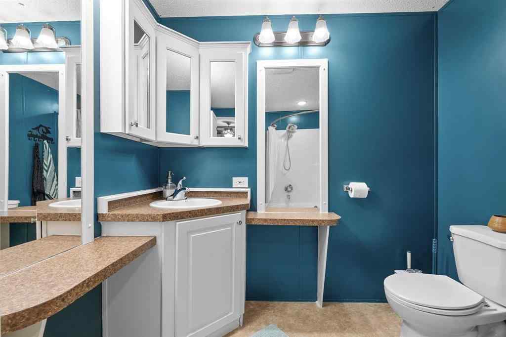 MLS® A2231541 - Unit #504 1101 84 Street NE in Abbeydale Calgary, Mobile