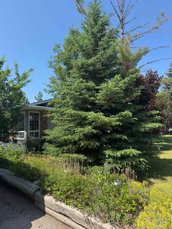 MLS® A2231588 - 431 Queen Charlotte Drive SE in Queensland Calgary, Residential