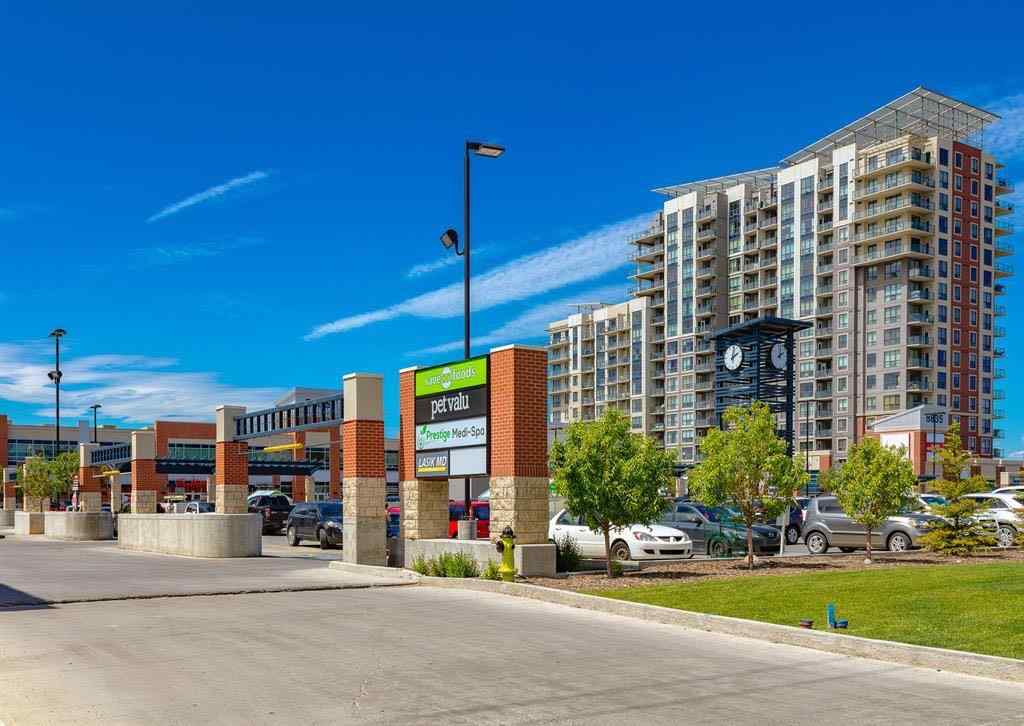 MLS® A2231813 - Unit #304 8880 Horton Road SW in Haysboro Calgary, Residential