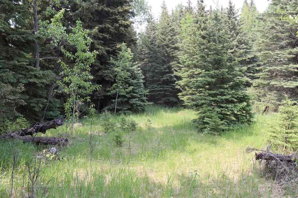 MLS® A2231837 -  SE-36-52-18 W5   in NONE Rural Yellowhead County, Land
