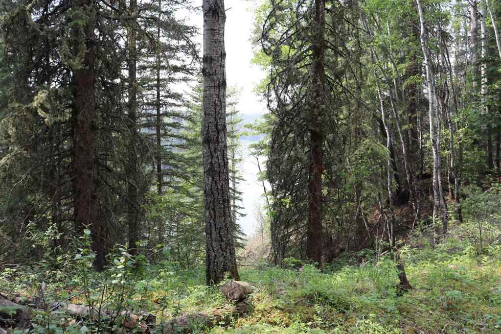 MLS® A2231837 -  SE-36-52-18 W5   in NONE Rural Yellowhead County, Land