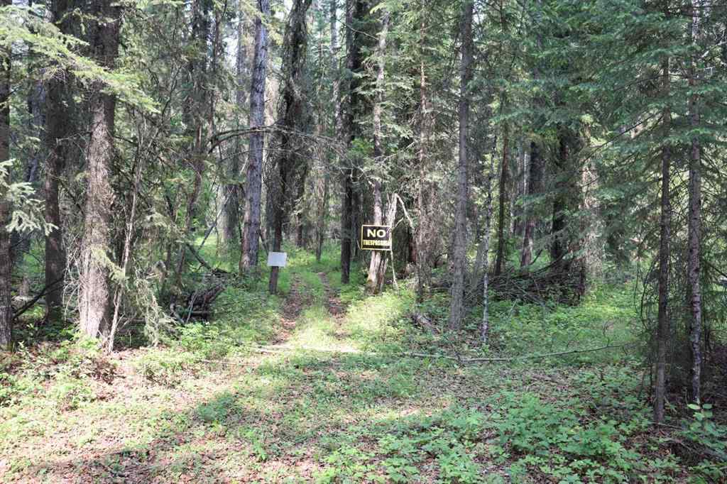 MLS® A2231837 -  SE-36-52-18 W5   in NONE Rural Yellowhead County, Land