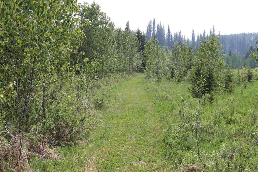 MLS® A2231837 -  SE-36-52-18 W5   in NONE Rural Yellowhead County, Land