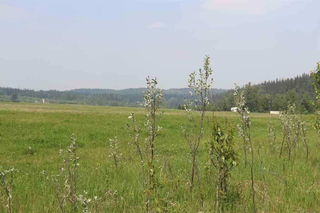 MLS® A2231837 -  SE-36-52-18 W5   in NONE Rural Yellowhead County, Land