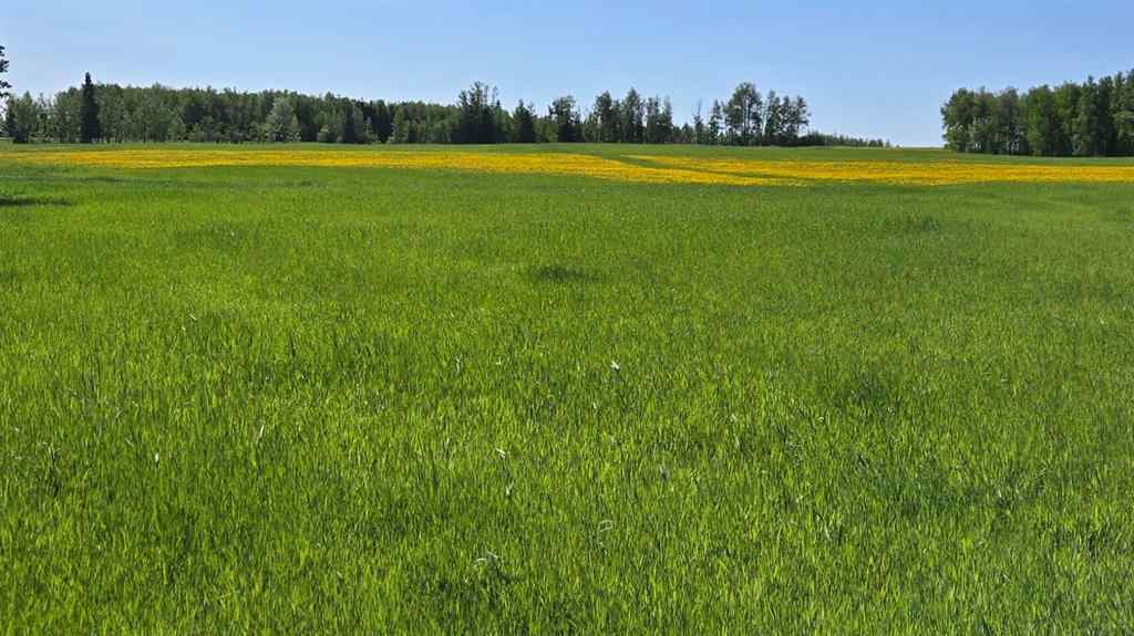 MLS® A2231917 -  Highway 20   in NONE Rural Ponoka County, Agri-Business
