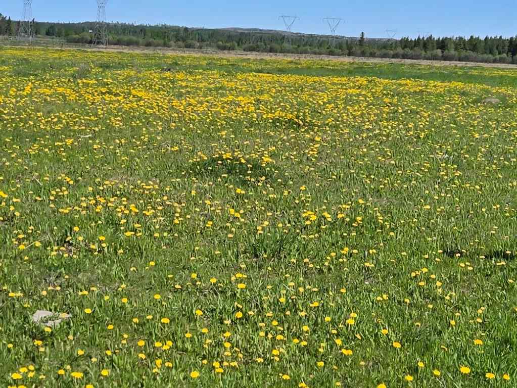 MLS® A2231917 -  Highway 20   in NONE Rural Ponoka County, Agri-Business
