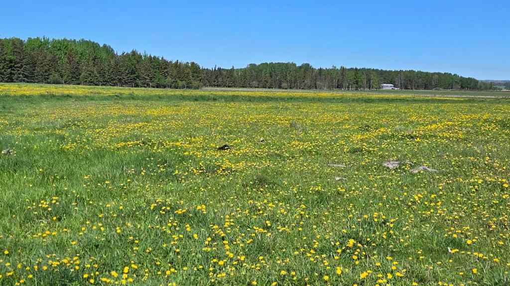 MLS® A2231917 -  Highway 20   in NONE Rural Ponoka County, Agri-Business