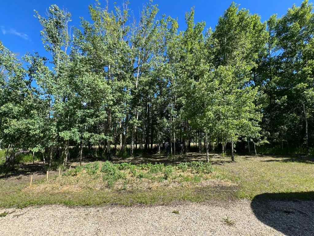 MLS® A2232014 - 11013 Township Road 423   in NONE Rural Ponoka County, Land