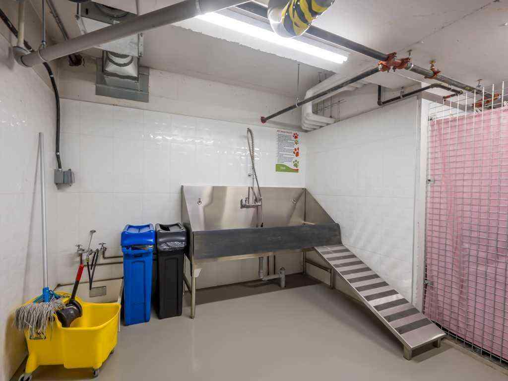 MLS® A2232067 - Unit #206 3375 15 Street SW in South Calgary Calgary, Residential