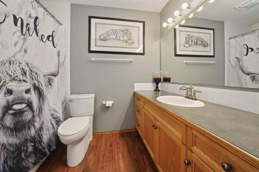 MLS® A2232216 - 13 Fern Glade Crescent  in Fox Run Sylvan Lake, Residential
