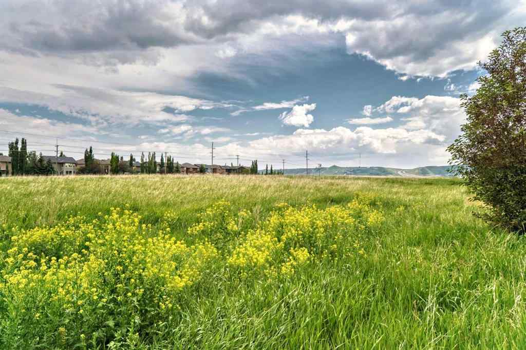 MLS® A2232261 - 206 Tuscany Ravine Close NW in Tuscany Calgary, Residential