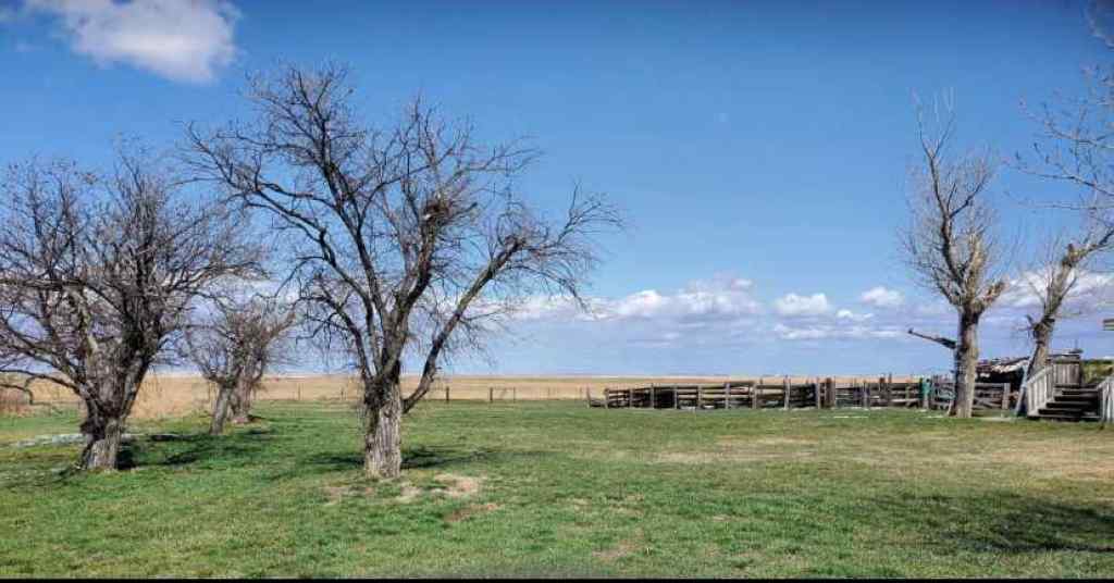 MLS® A2232515 - 142043B RR254   in NONE Rural Willow Creek No. 26, M.D. of, Residential