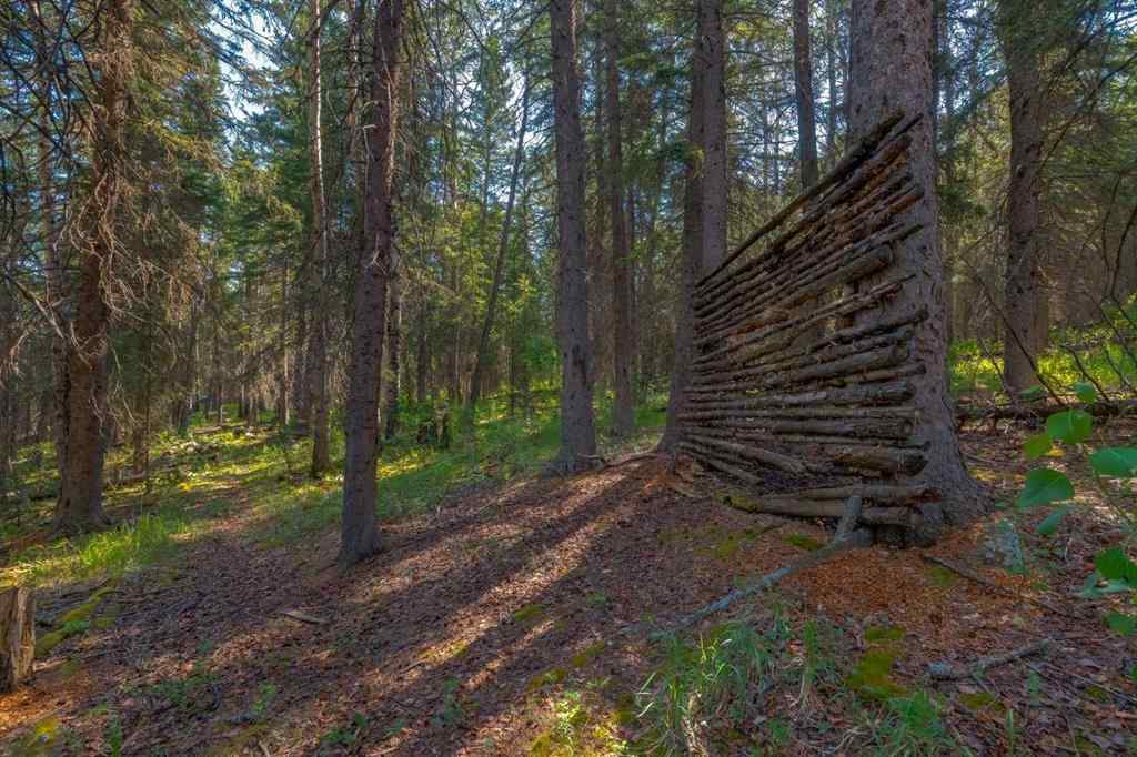 MLS® A2232528 - 370050 272 Street W in NONE Rural Foothills County, Residential