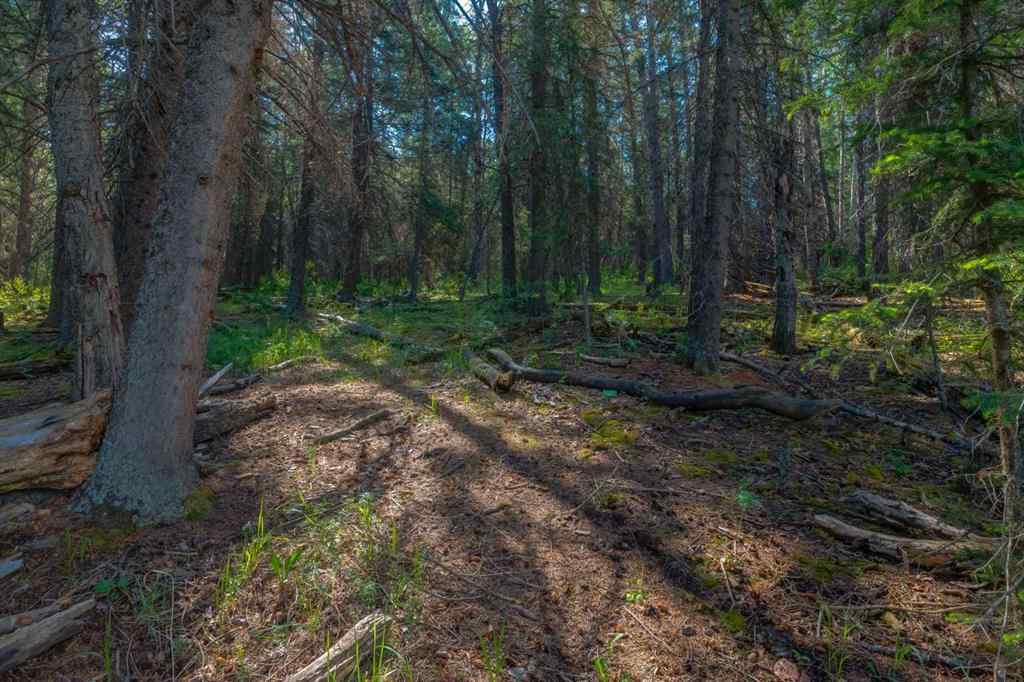 MLS® A2232528 - 370050 272 Street W in NONE Rural Foothills County, Residential